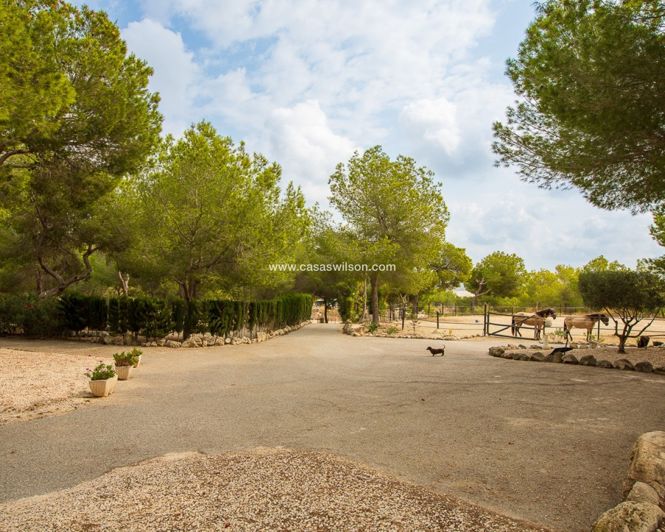 Image No.33-4 Bed Property for sale