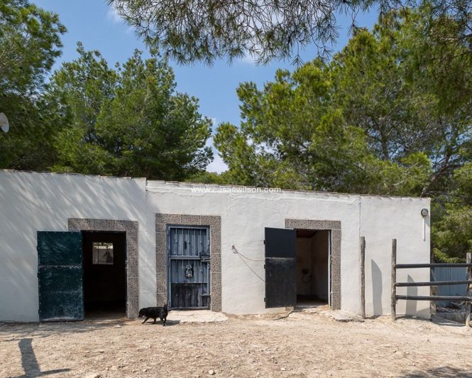 Image No.45-4 Bed Property for sale