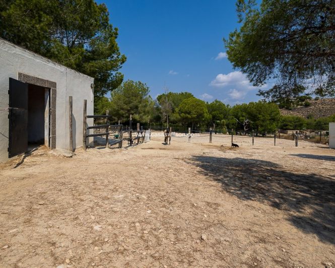 Image No.47-4 Bed Property for sale