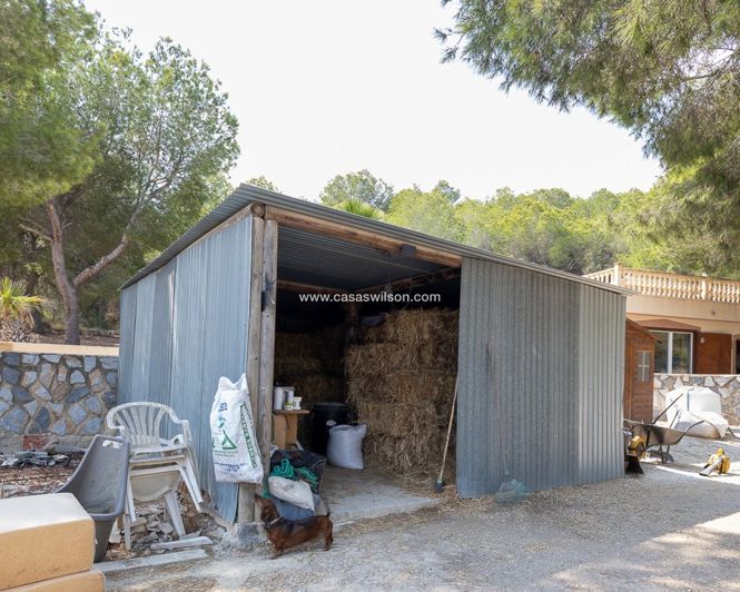 Image No.48-4 Bed Property for sale