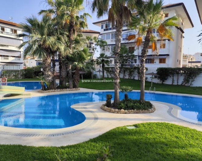 Image No.19-1 Bed Apartment for sale