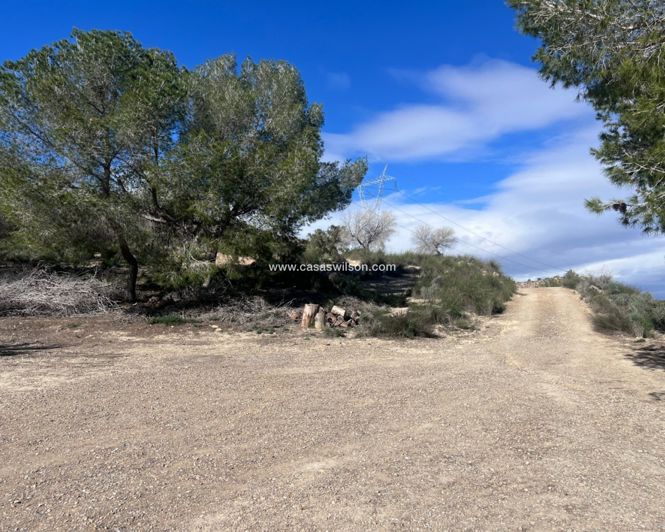 Image No.3-2 Bed Property for sale