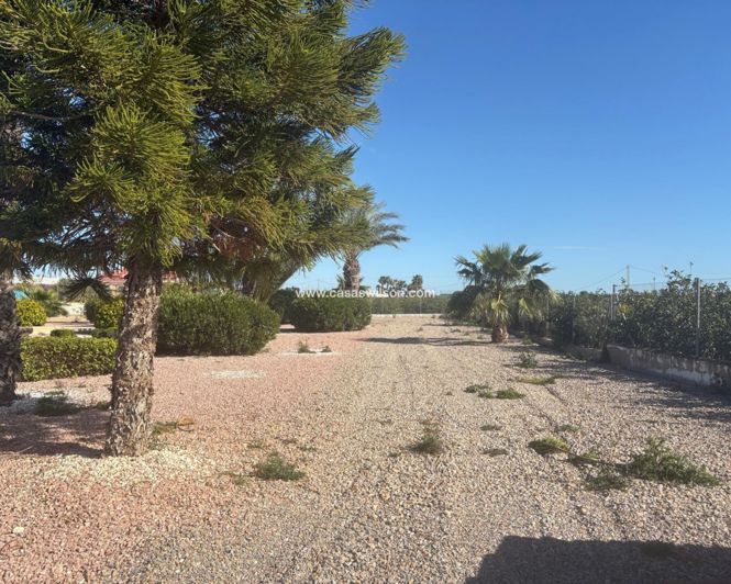 Image No.9-3 Bed Villa for sale