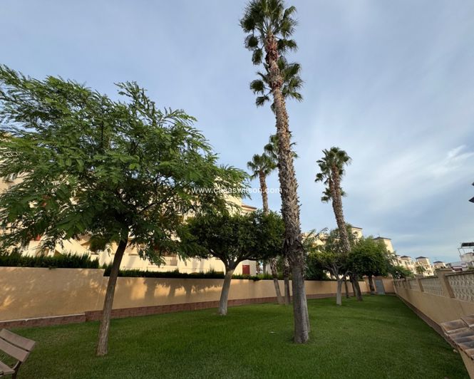Image No.24-Bungalow de 3 chambres à vendre à Playa Flamenca