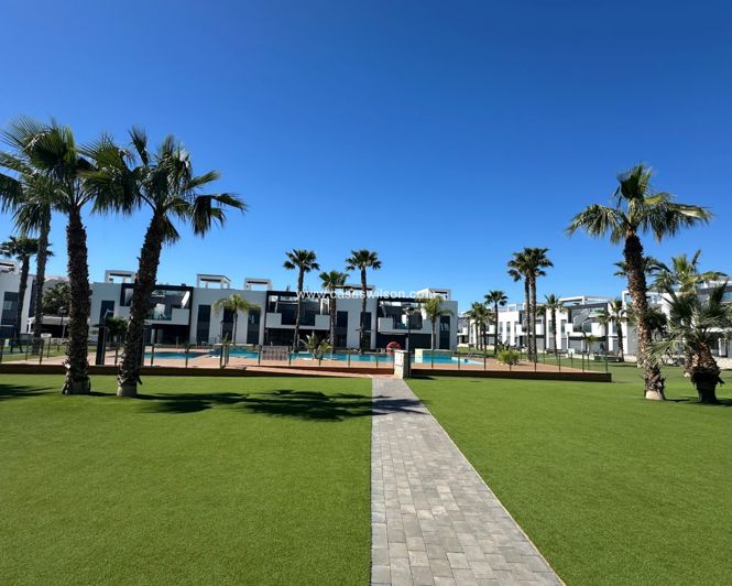 Image No.41-Appartement de 3 chambres à vendre à Guardamar del Segura