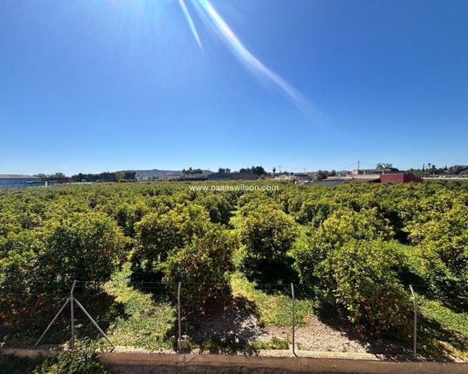 Image No.15-Appartement de 3 chambres à vendre à Benejúzar