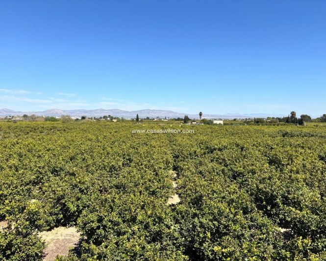 Image No.2-Appartement de 3 chambres à vendre à Benejúzar