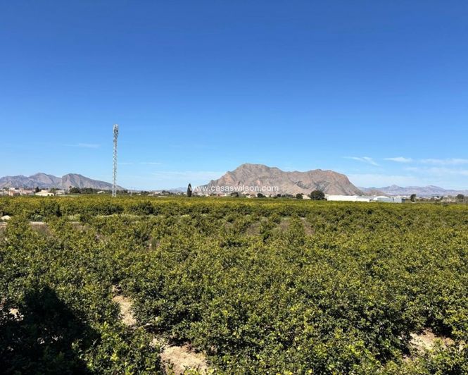 Image No.9-Appartement de 3 chambres à vendre à Benejúzar