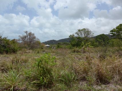 Image No.2-Terre à vendre à Saint Mary