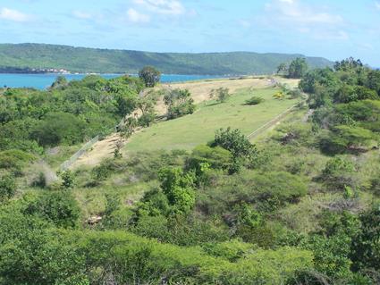 Image No.3-Terre à vendre à English Harbour Town