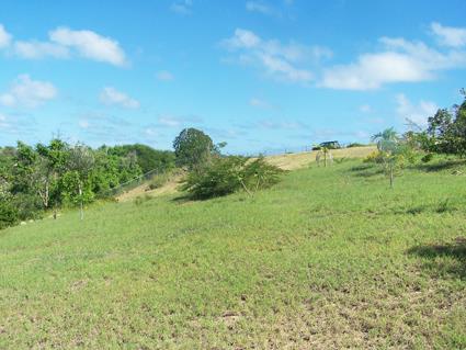 Image No.7-Terre à vendre à English Harbour Town