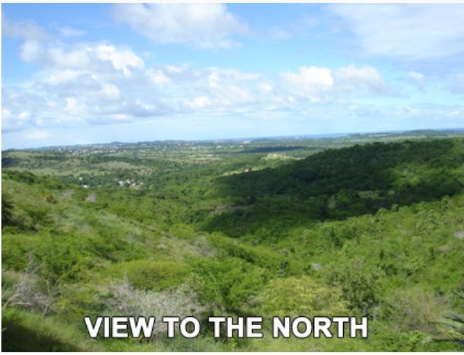 Image No.12-Terre à vendre à English Harbour Town