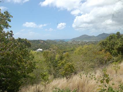 Image No.3-Terre à vendre à Falmouth