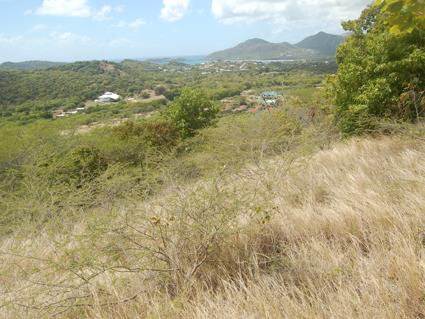 Image No.4-Terre à vendre à Falmouth