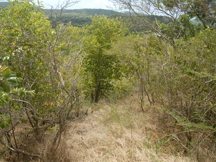 Image No.6-Terre à vendre à Falmouth