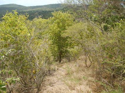 Image No.5-Terre à vendre à Falmouth