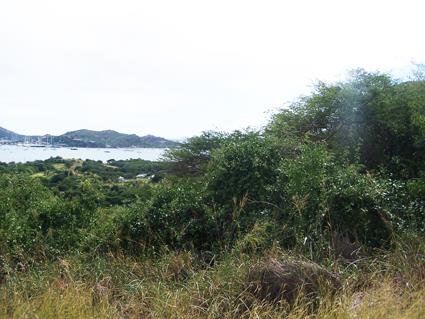 Image No.3-Land for sale