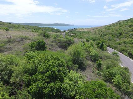 Image No.2-Land for sale