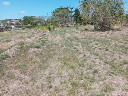 Image No.6-Land for sale