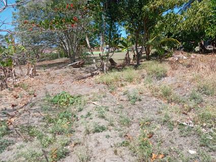 Image No.7-Land for sale