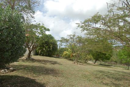 Image No.27-Maison / Villa de 5 chambres à vendre à St Johns