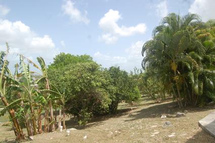 Image No.28-Maison / Villa de 5 chambres à vendre à St Johns
