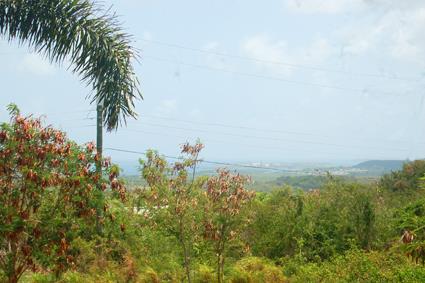 Image No.29-Maison / Villa de 5 chambres à vendre à St Johns