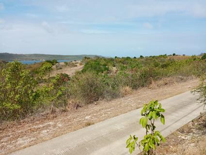 Image No.1-Land for sale