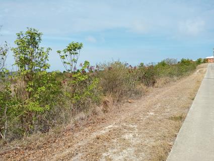 Image No.3-Land for sale