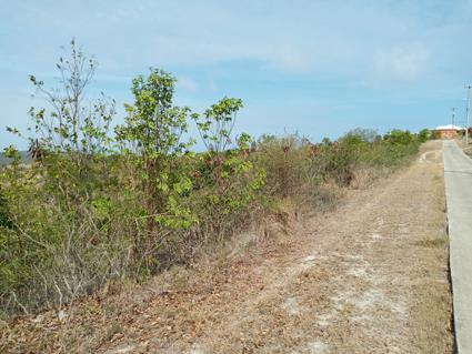 Image No.6-Land for sale