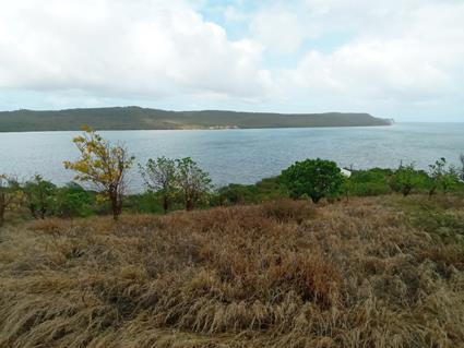 Image No.9-Land for sale