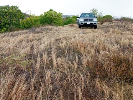 Image No.10-Land for sale