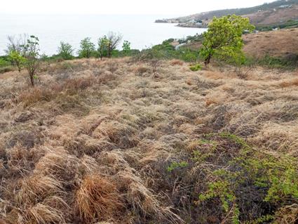 Image No.11-Land for sale