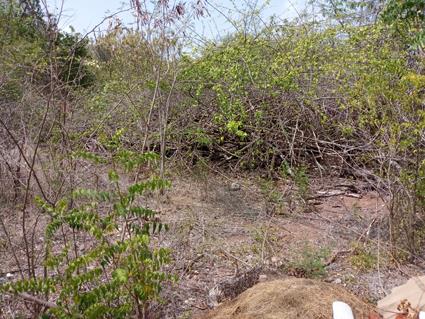 Image No.5-Land for sale