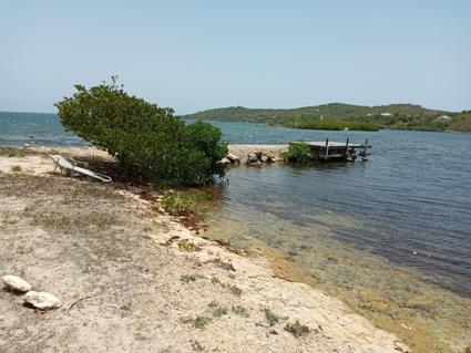 Image No.1-Land for sale