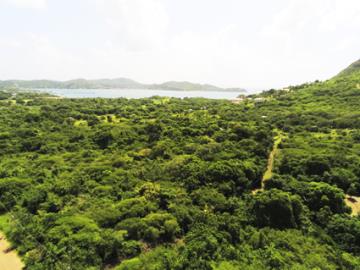 hillside-2