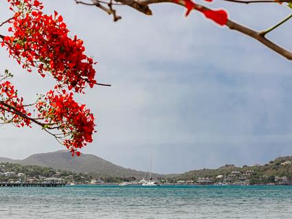 Image No.15-3 Bed Villa for sale