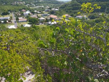 1 - Cedar Valley Gardens, Land