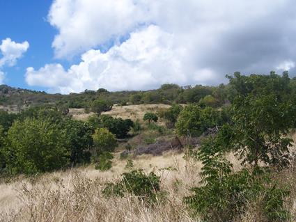 Image No.12-Land for sale