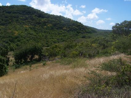 Image No.10-Terre à vendre à Willoughby Bay