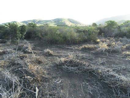 Image No.6-Land for sale