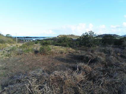 Image No.2-Land for sale