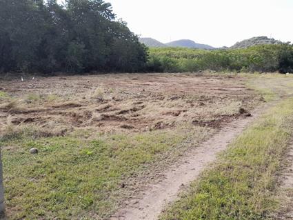 Image No.4-Land for sale