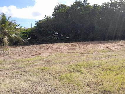 Image No.8-Land for sale