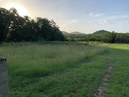 Image No.12-Land for sale