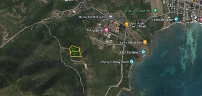Bailey-hill-google