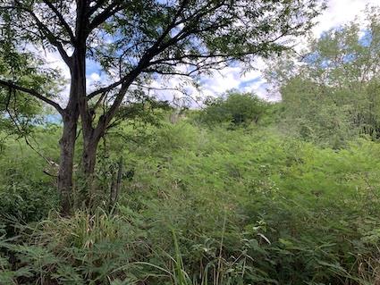 Image No.12-Terre à vendre à Valley Church