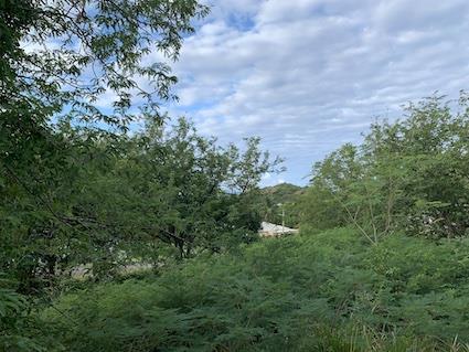 Image No.13-Terre à vendre à Valley Church