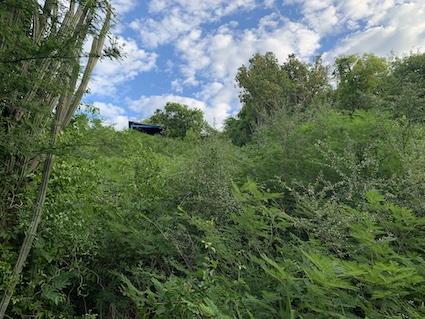 Image No.14-Terre à vendre à Valley Church