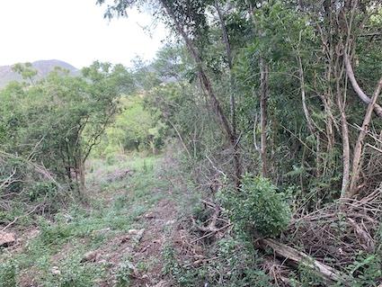 Image No.18-Land for sale